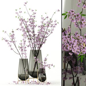 realistic cherry vases blossom 3D model