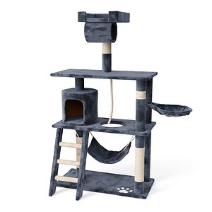 Cat Home
