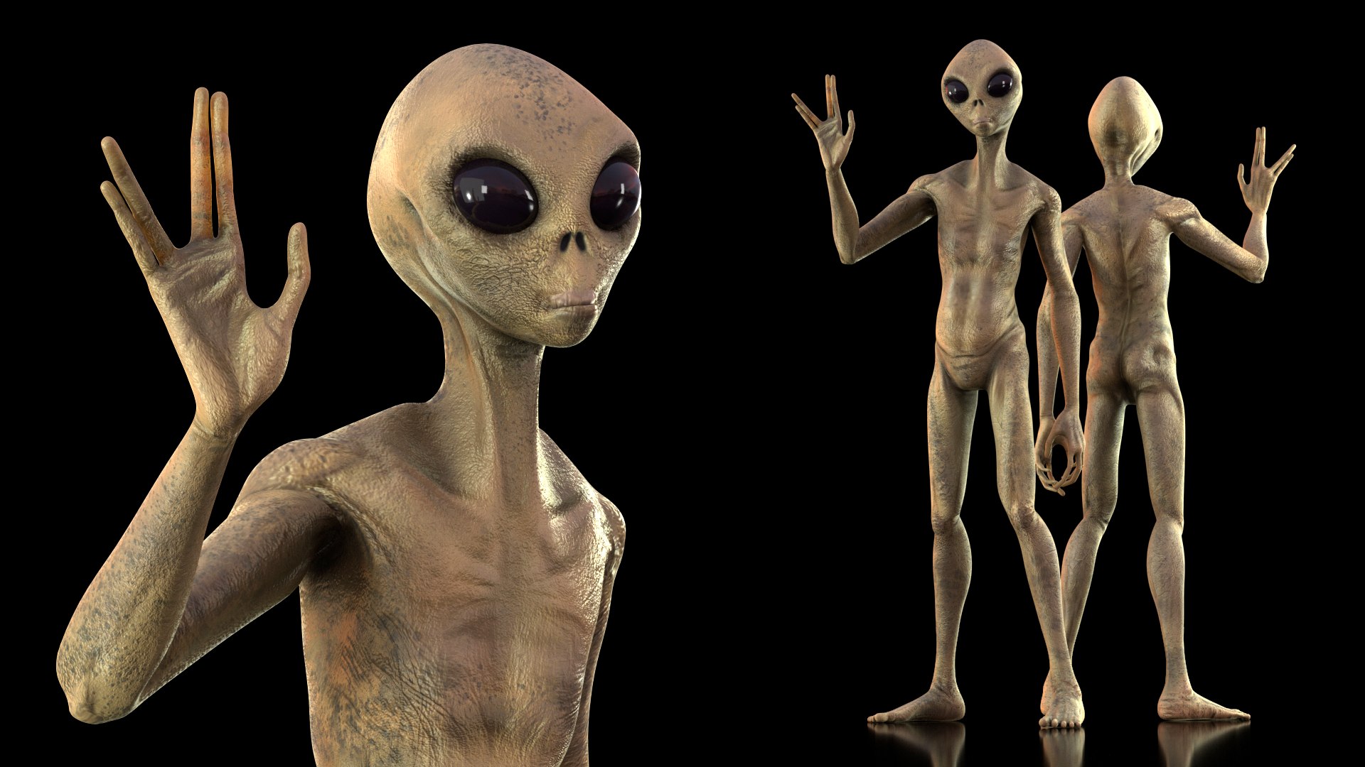 Humanoid Alien Creature Greeting Pose 3D model https://p.turbosquid.com/ts-thumb/yt/FaO9Ch/9B/humanoidaliencreaturegreetingpose3dsmodel002/jpg/1648023950/1920x1080/fit_q87/7d127e0e2b6bfb0c52e1511b0cb0a5dda80e84e1/humanoidaliencreaturegreetingpose3dsmodel002.jpg