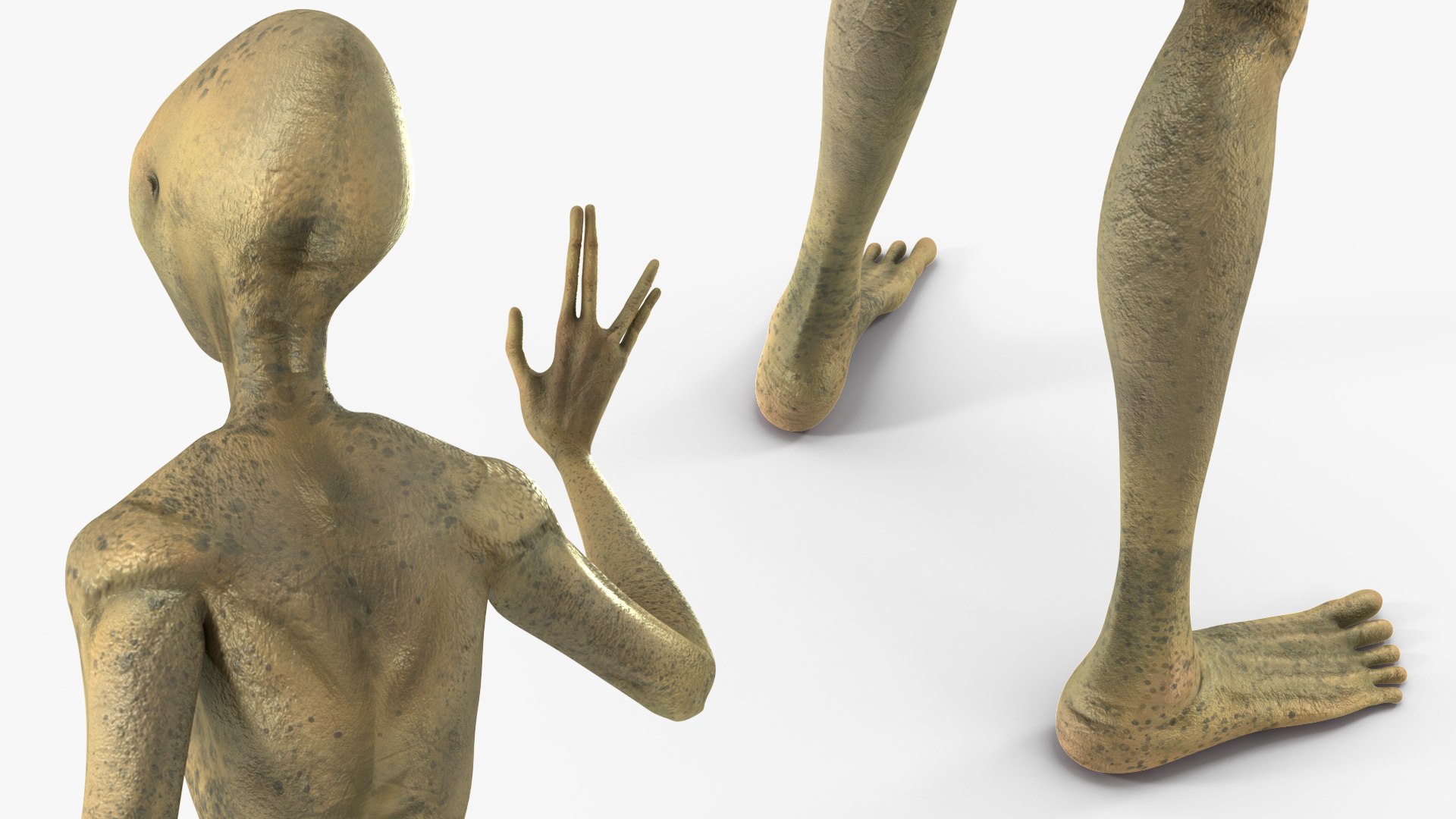 Humanoid Alien Creature Greeting Pose 3D model https://p.turbosquid.com/ts-thumb/yt/FaO9Ch/Dz/humanoidaliencreaturegreetingpose3dsmodel009/jpg/1648023971/1920x1080/fit_q87/cec7091a17a3d513ac6d96700c128e7a6464267b/humanoidaliencreaturegreetingpose3dsmodel009.jpg