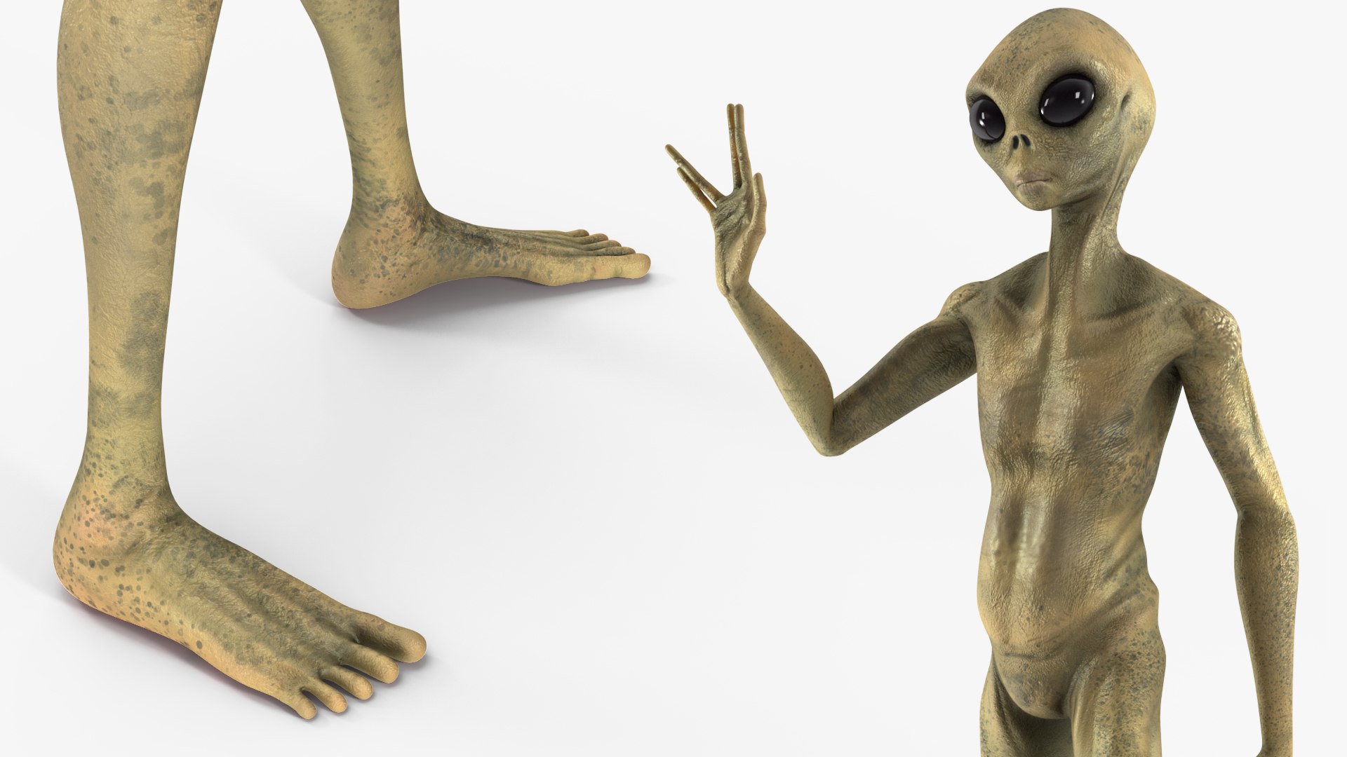 Humanoid Alien Creature Greeting Pose 3D model https://p.turbosquid.com/ts-thumb/yt/FaO9Ch/IY/humanoidaliencreaturegreetingpose3dsmodel008/jpg/1648023968/1920x1080/fit_q87/41804d6135c7a19f0e73835a2ffd65a8f368fe30/humanoidaliencreaturegreetingpose3dsmodel008.jpg