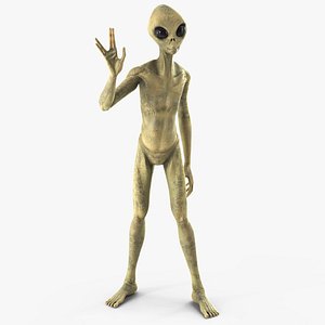 Humanoid Alien Creature Greeting Pose 3D model