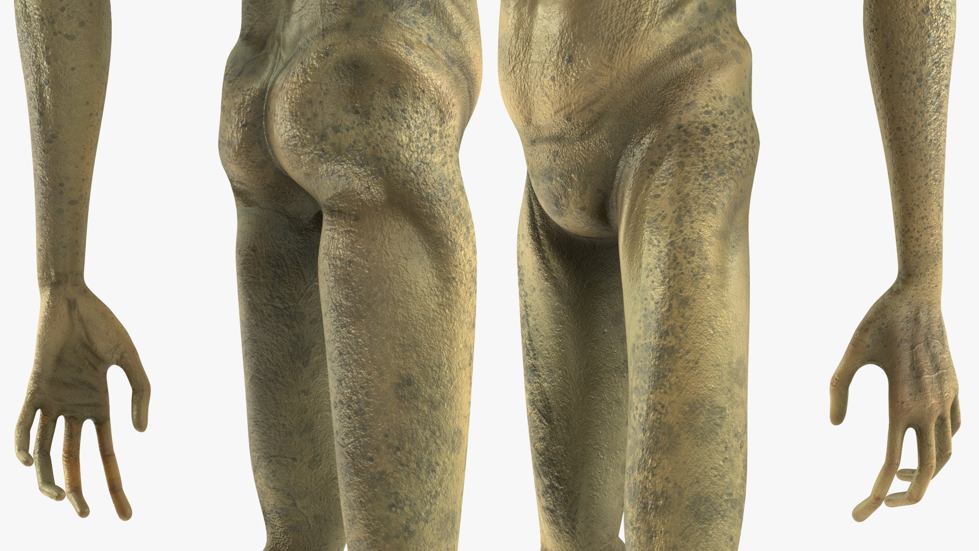 Humanoid Alien Creature Greeting Pose 3D model https://p.turbosquid.com/ts-thumb/yt/FaO9Ch/oO/humanoidaliencreaturegreetingpose3dsmodel011/jpg/1648023978/1920x1080/fit_q87/4255190ba76301f0642ea0f32a0c01e819d02389/humanoidaliencreaturegreetingpose3dsmodel011.jpg