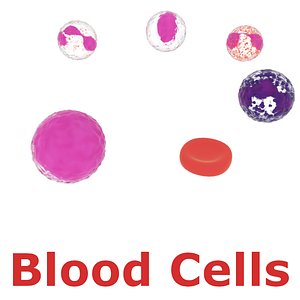 Blood Cells