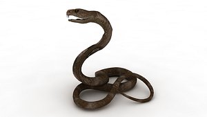 Black Cobra