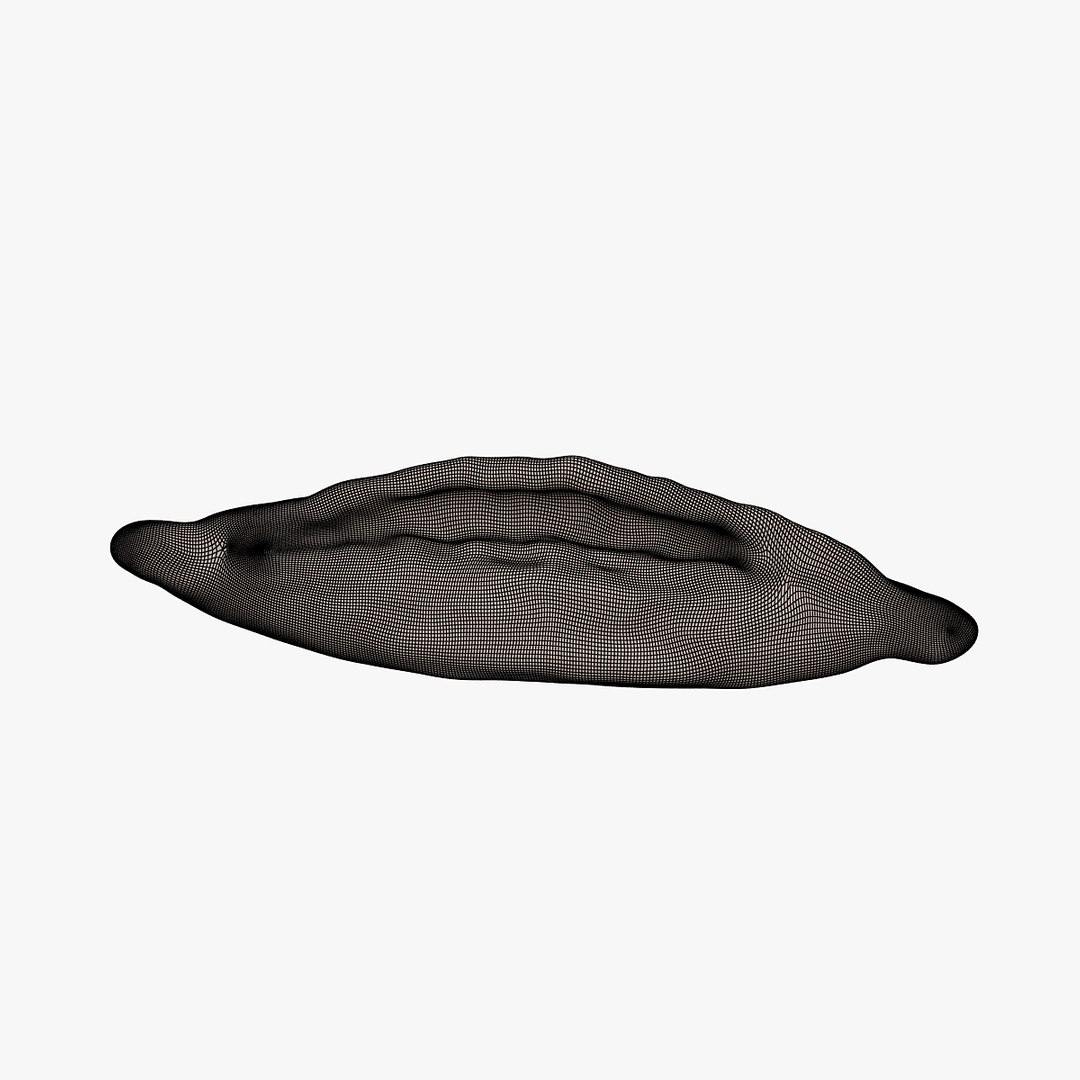 bread obj https://p.turbosquid.com/ts-thumb/yt/XbuqJJ/DRS4ekoG/00901/jpg/1427508606/1920x1080/fit_q87/8c6b0ec0ed105c420224a5d689640f4d693a5562/00901.jpg