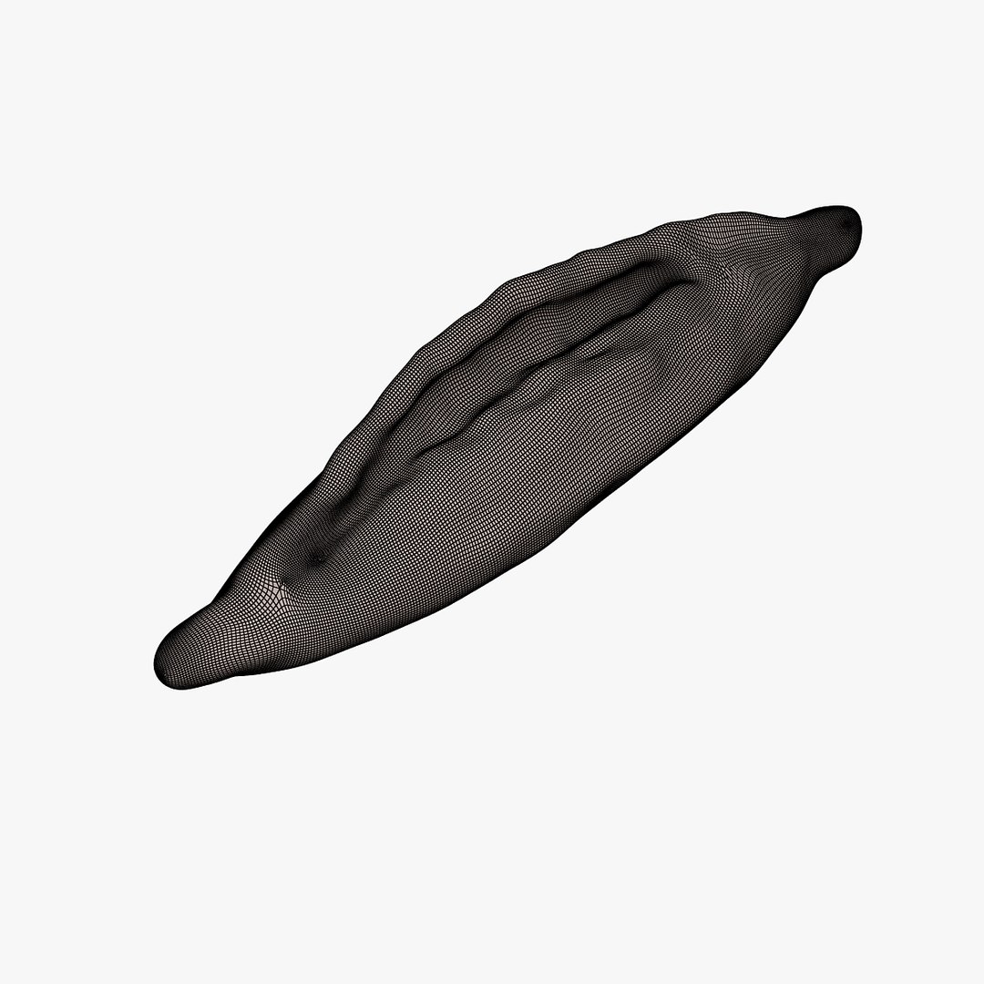 bread obj https://p.turbosquid.com/ts-thumb/yt/XbuqJJ/V9yJHuWL/00801/jpg/1427508594/1920x1080/fit_q87/b02f69b29ed6ef1f58a812cd18c2e4103c92e681/00801.jpg