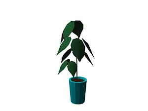 maya plants