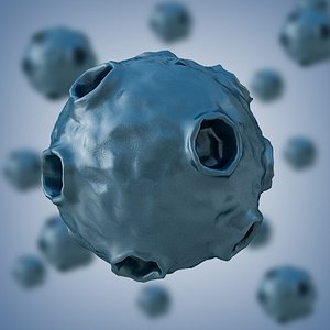 Bacterium 2