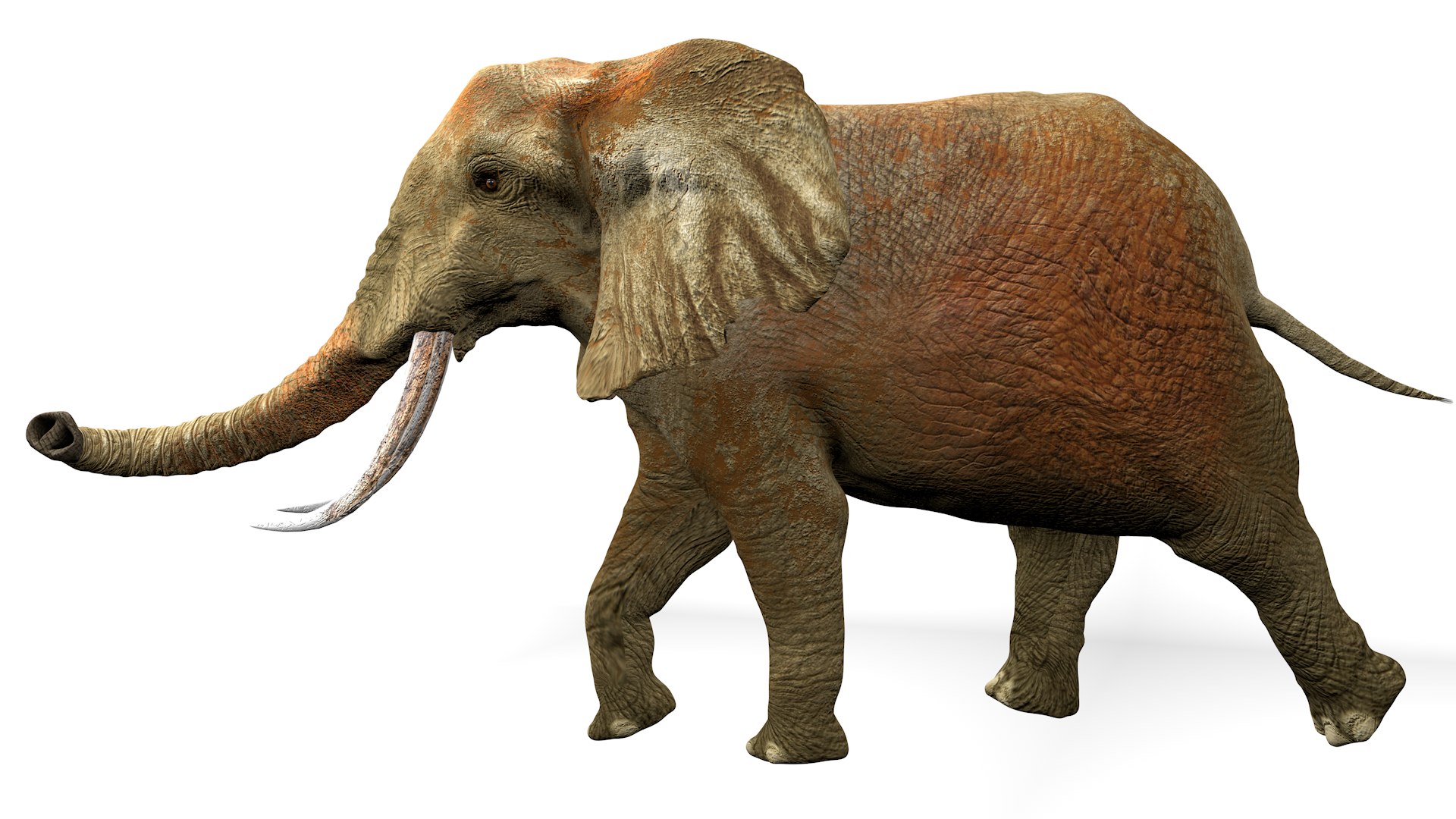 African Elephant RIGGED L2362 3D model https://p.turbosquid.com/ts-thumb/yt/zEqWmN/8r/09_0018/png/1744658576/1920x1080/fit_q87/b52c71306f6c421b0bf0cee2428979e51b5a470e/09_0018.jpg