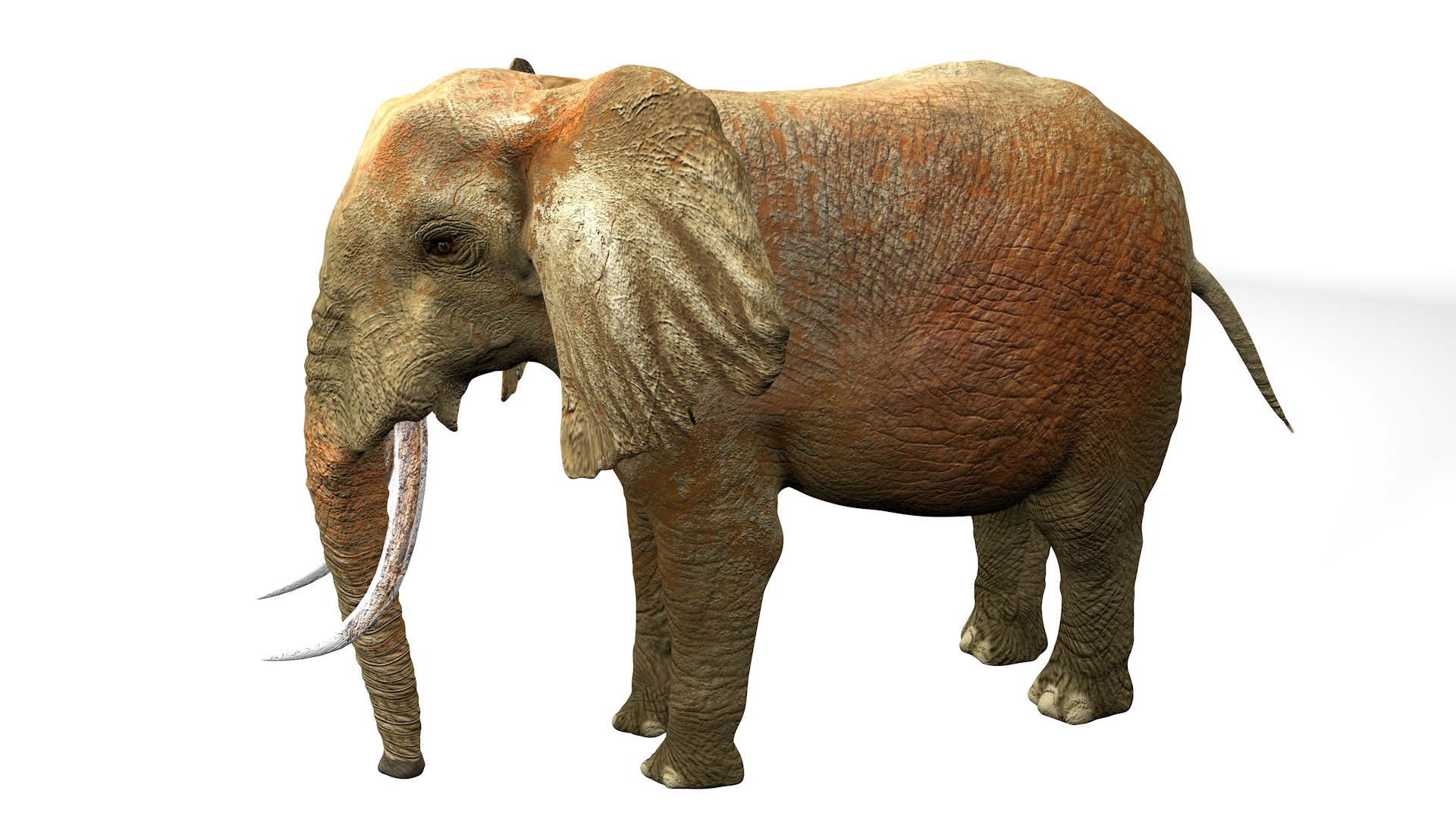 African Elephant RIGGED L2362 3D model https://p.turbosquid.com/ts-thumb/yt/zEqWmN/dB/15_0013/png/1744658590/1920x1080/fit_q87/1a615d8dc992b6aa842799ce12558e8565f04f92/15_0013.jpg