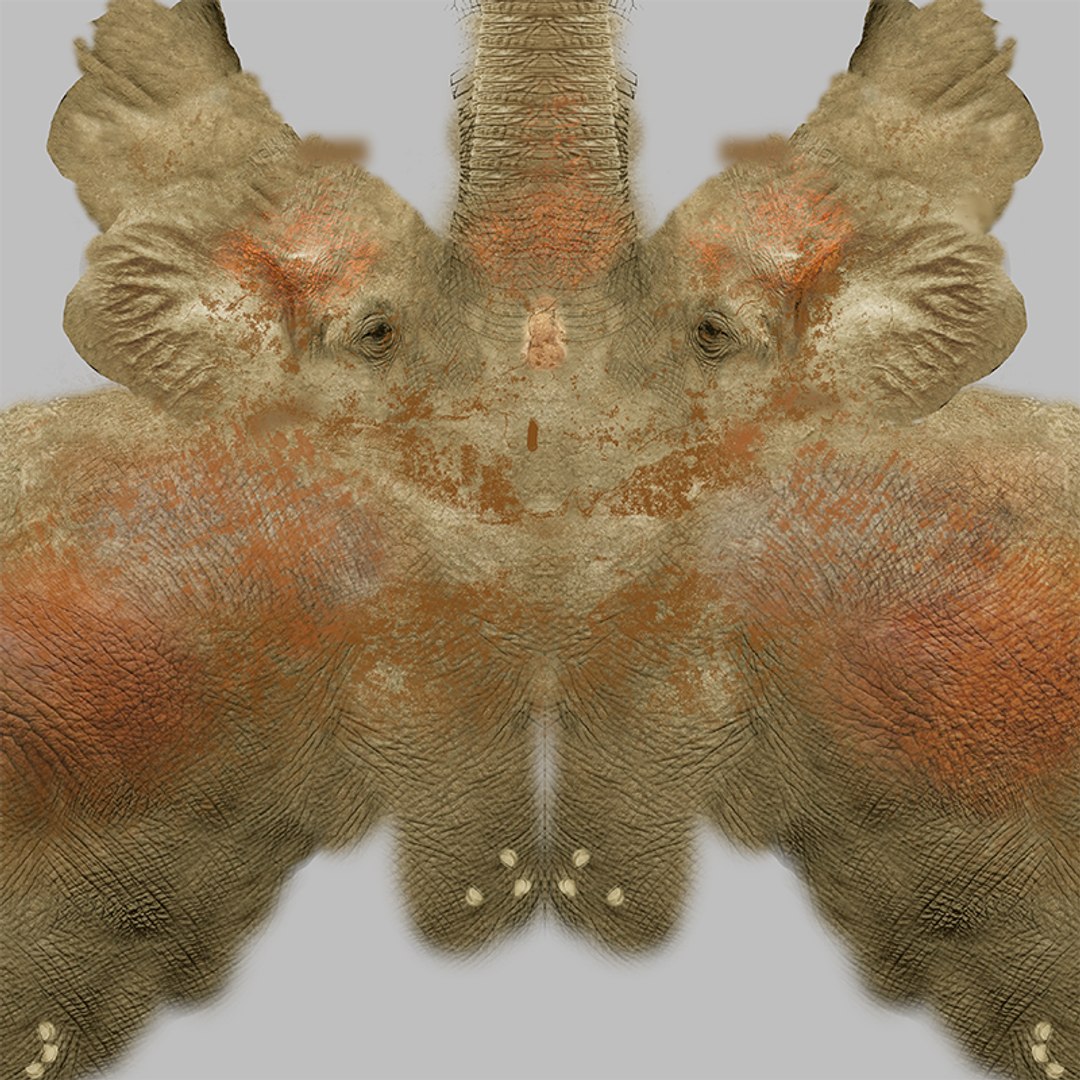 African Elephant RIGGED L2362 3D model https://p.turbosquid.com/ts-thumb/yt/zEqWmN/sD/026/png/1744659659/1920x1080/fit_q87/51184819a031985b8c66cd43ccf63d11d49cef33/026.jpg