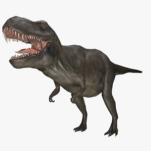 t-rex 3D model