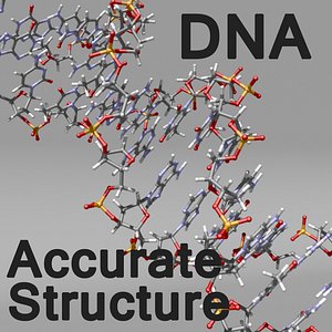 DNA Style 2