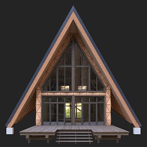 Modern house in the woods