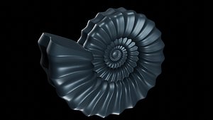3D model serpenticone conch ornamented
