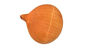 Onion Vegetable 3D Model AR VR PBR 3D