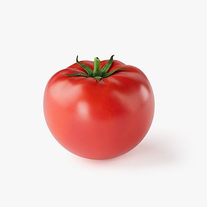 Tomato PBR 3D model
