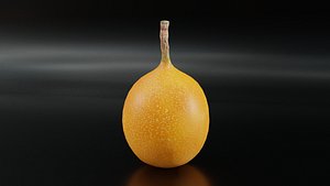Passion Fruit model