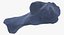 Domestic Cat Calcaneus Bone 01