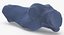 Domestic Cat Calcaneus Bone 01