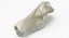 Domestic Cat Calcaneus Bone 01