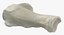Domestic Cat Calcaneus Bone 01