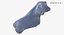 Domestic Cat Calcaneus Bone 01