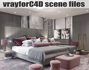 3D vrayforc4d scene files -