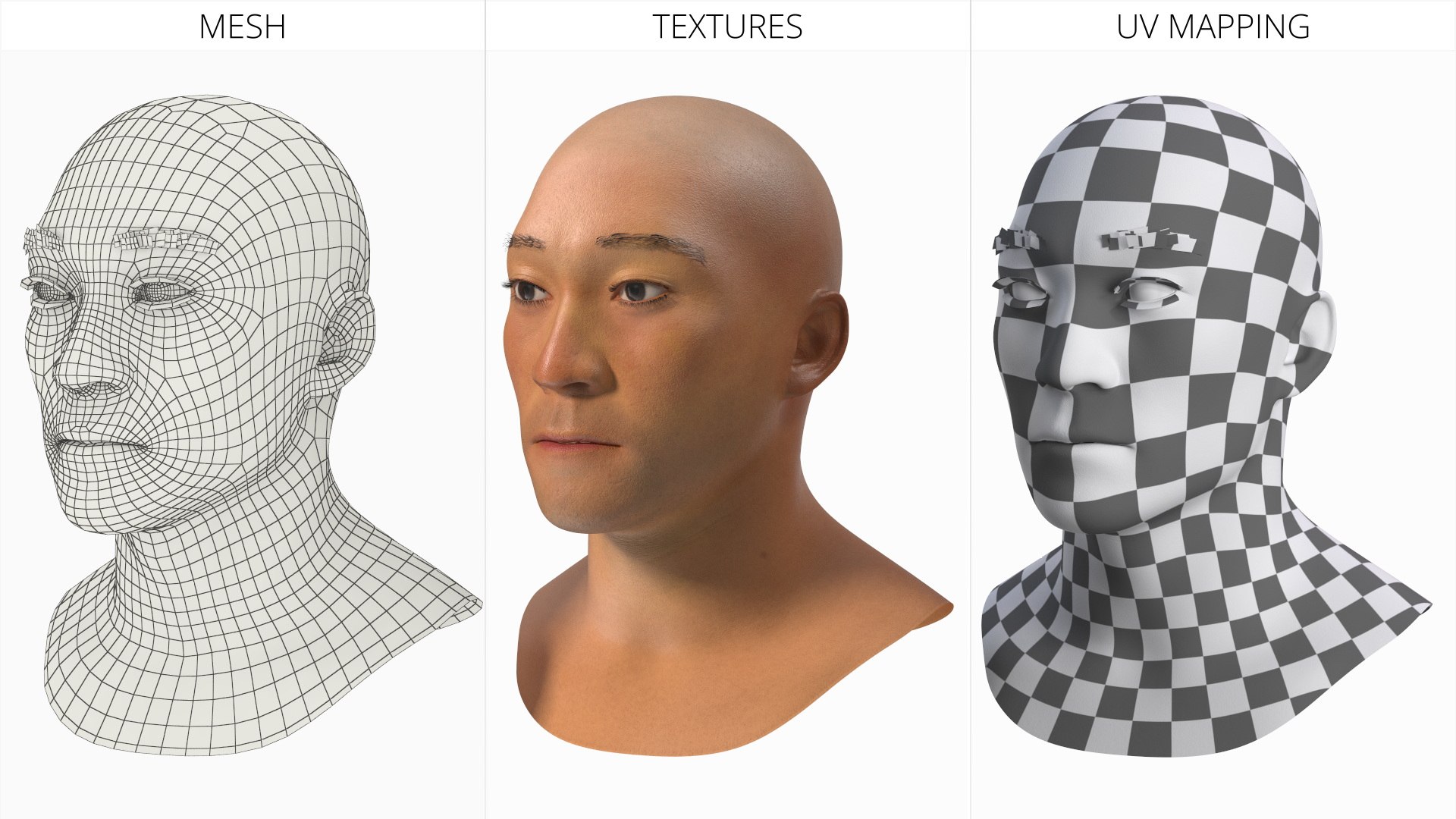 Feudal Japanese Man Head with Neutral Expression 3D model https://p.turbosquid.com/ts-thumb/yu/W4Uh0S/5D/feudal_japanese_man_head_with_neutral_expression_006/jpg/1760245510/1920x1080/fit_q87/3282f01a266ede65523693663a7ce377f2136642/feudal_japanese_man_head_with_neutral_expression_006.jpg