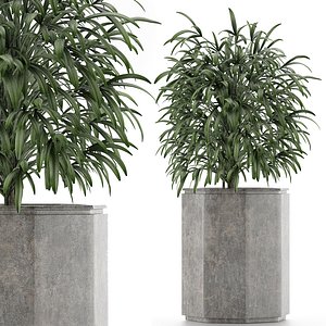 single plant 04 3D model
