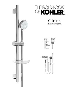 max handshower citrus kit