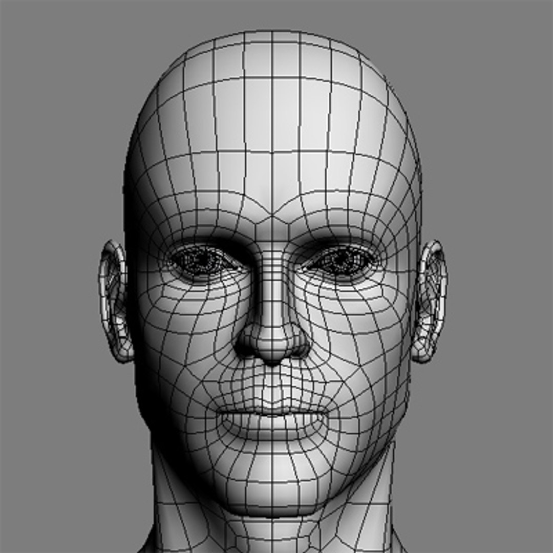 Male Head 3d Model