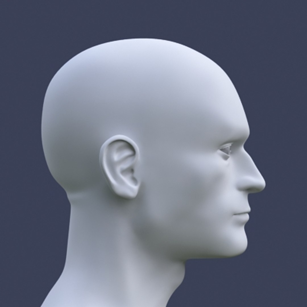 Male Head 3d Model