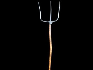 Farm Fork