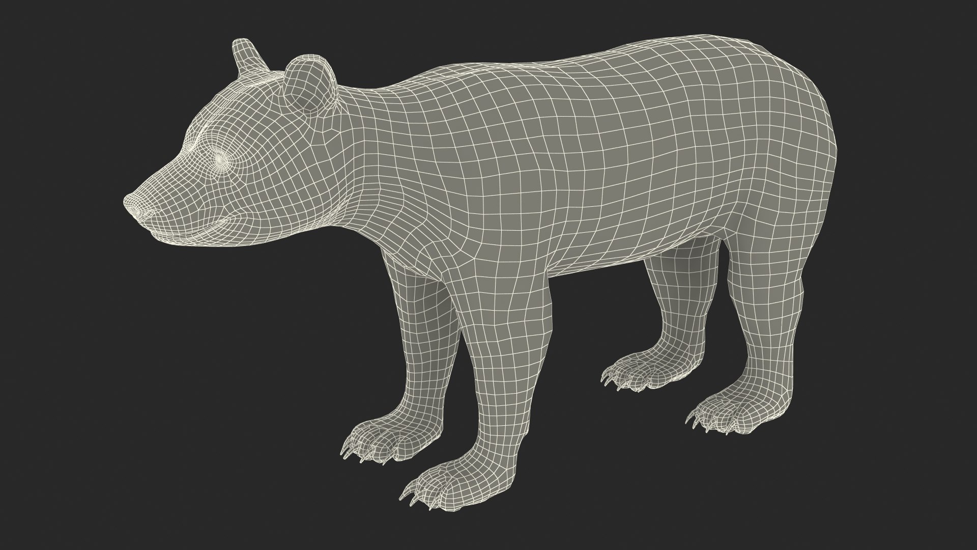 Young Black Bear model https://p.turbosquid.com/ts-thumb/yu/sbGEP9/1o/youngblackbearvray3dmodel023/jpg/1721007766/1920x1080/fit_q87/8faf82b23382332d29e9298a36cf7761bf938e7a/youngblackbearvray3dmodel023.jpg