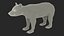 Young Black Bear