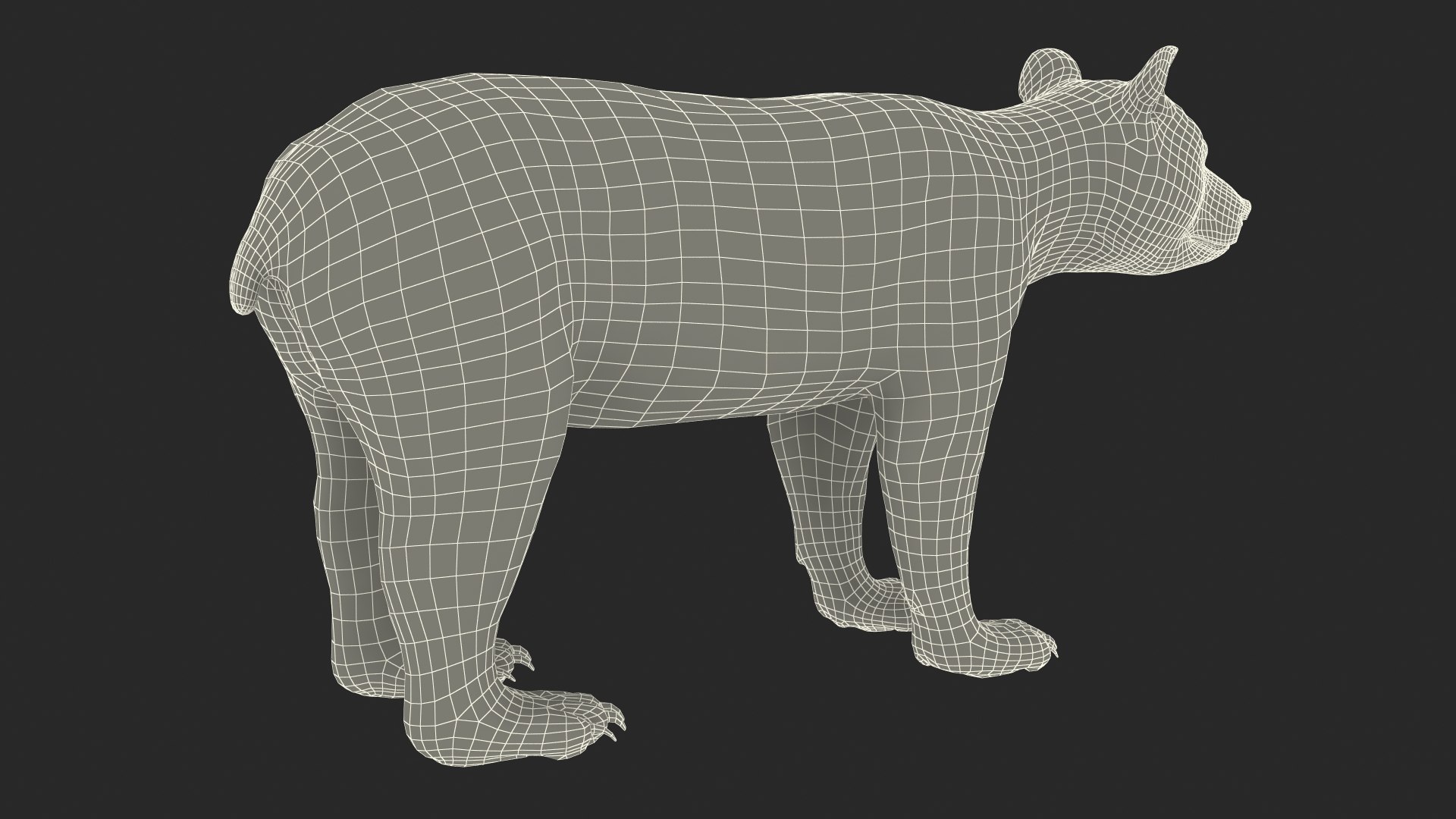 Young Black Bear model https://p.turbosquid.com/ts-thumb/yu/sbGEP9/7T/youngblackbearvray3dmodel024/jpg/1721007769/1920x1080/fit_q87/2f9b16e4c6e7d18401c2eb6d037ca3b99ec32144/youngblackbearvray3dmodel024.jpg