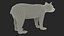 Young Black Bear