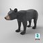 Young Black Bear
