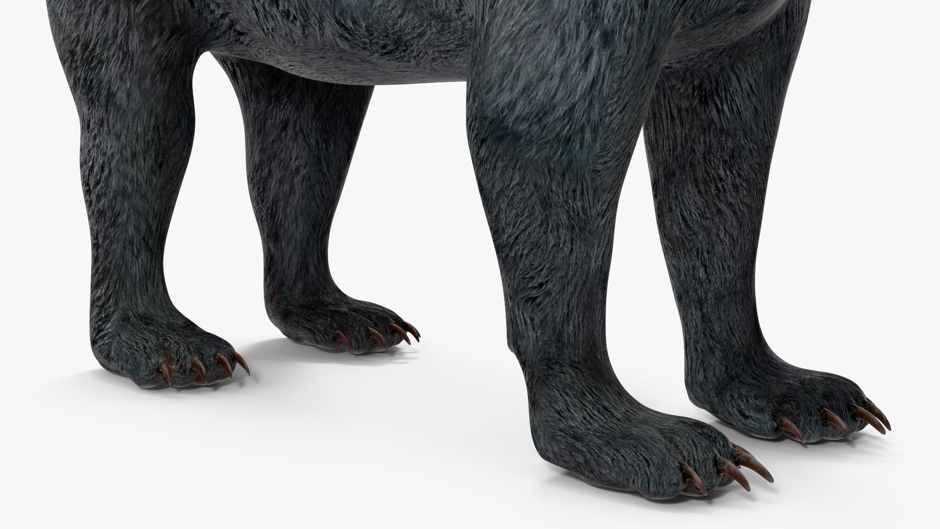 Young Black Bear model https://p.turbosquid.com/ts-thumb/yu/sbGEP9/O5/youngblackbearvray3dmodel015/jpg/1721007739/1920x1080/fit_q87/ceaeb398d24b6cd9fd4902bacc28227ea3860158/youngblackbearvray3dmodel015.jpg