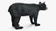 Young Black Bear