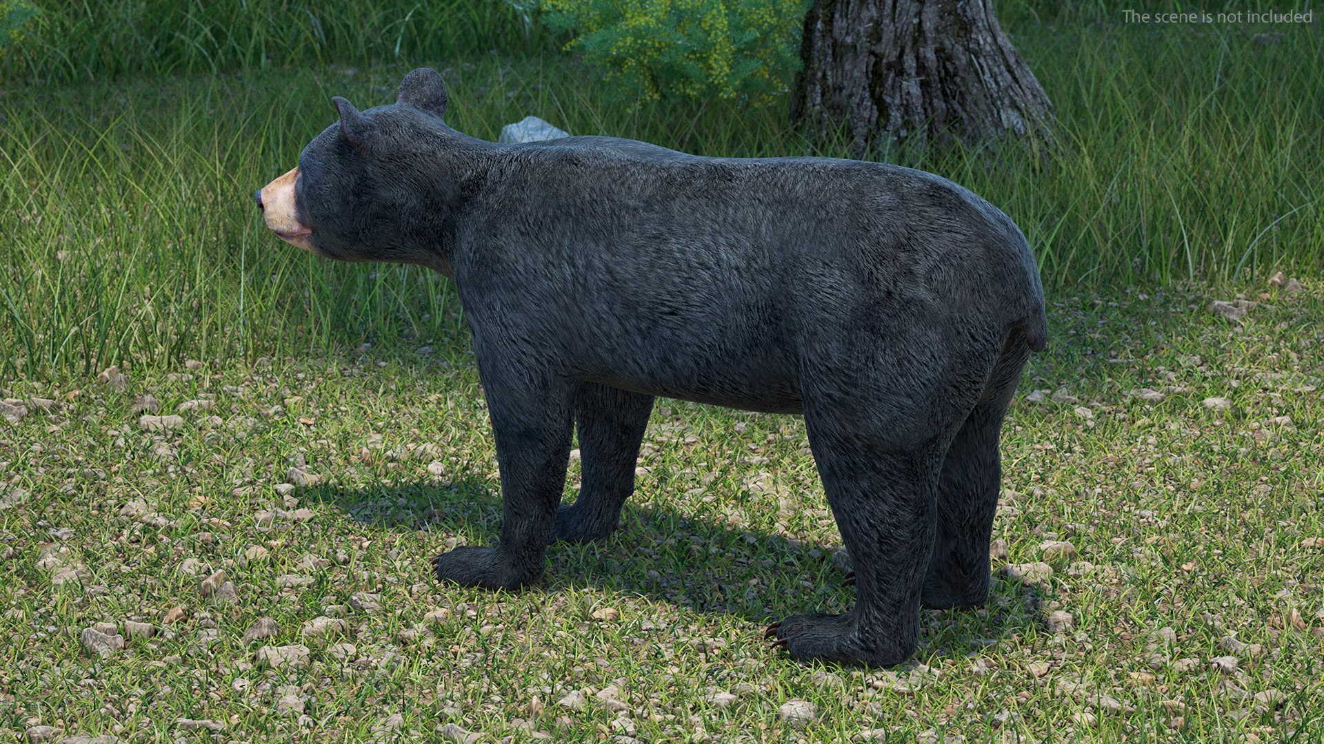 Young Black Bear model https://p.turbosquid.com/ts-thumb/yu/sbGEP9/Ux/youngblackbearvray3dmodel004/jpg/1721007700/1920x1080/fit_q87/75f17206207adbf0431ec576d64783b75361f5bb/youngblackbearvray3dmodel004.jpg