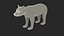 Young Black Bear