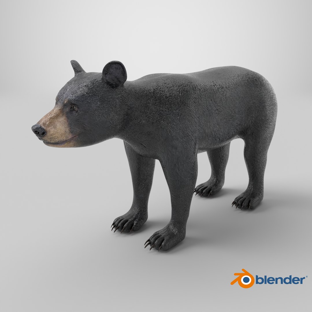 Young Black Bear model https://p.turbosquid.com/ts-thumb/yu/sbGEP9/YU/stemcell_blender_cycles_render/png/1724316227/1920x1080/fit_q87/aca5eefe1bb136e8d563256a1a39858e65dcd8c8/stemcell_blender_cycles_render.jpg