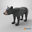 Young Black Bear