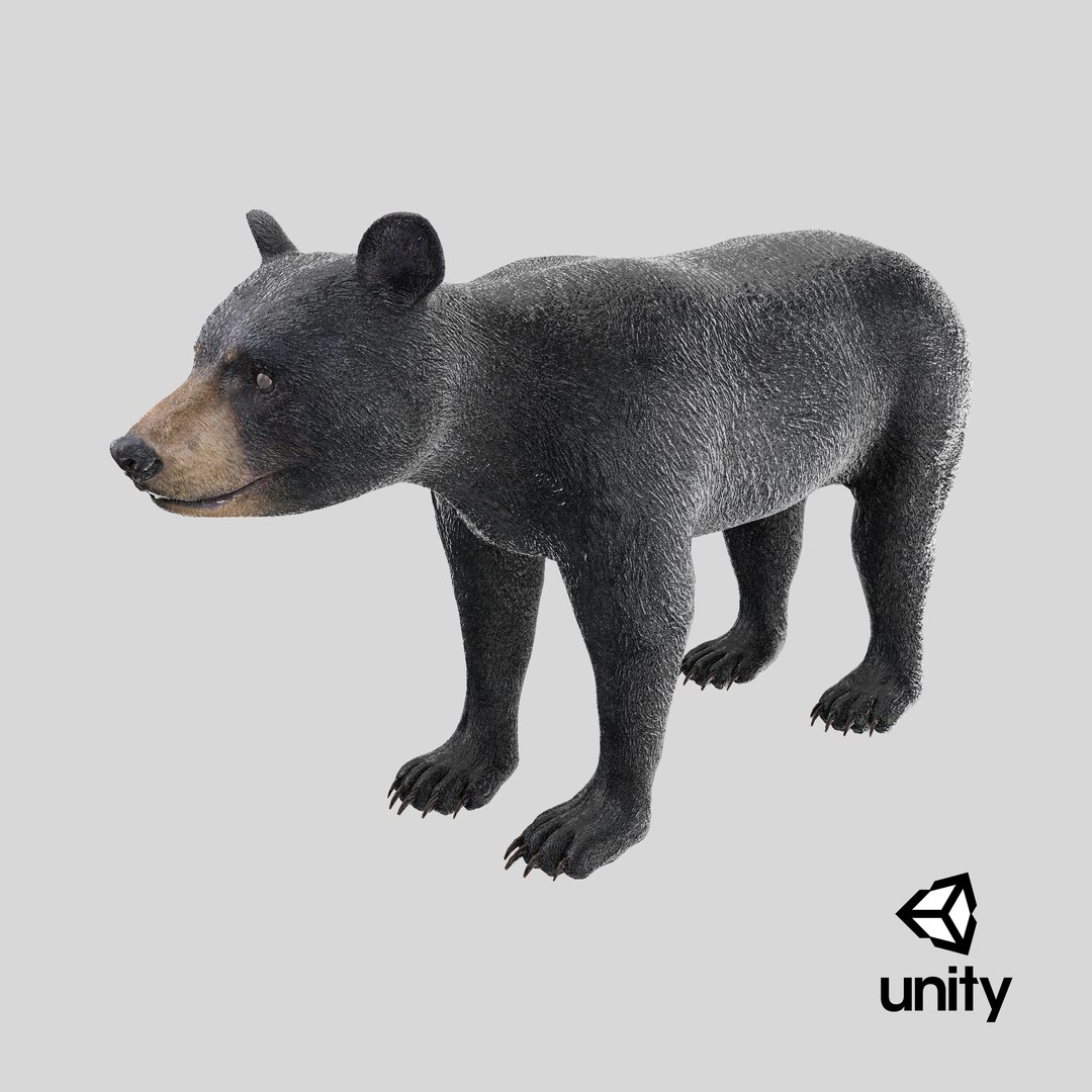 Young Black Bear model https://p.turbosquid.com/ts-thumb/yu/sbGEP9/cT/stemcell_unity_render/png/1724316246/1920x1080/fit_q87/a29ba328f5b98069d954db28b95e7ef09214f2d9/stemcell_unity_render.jpg