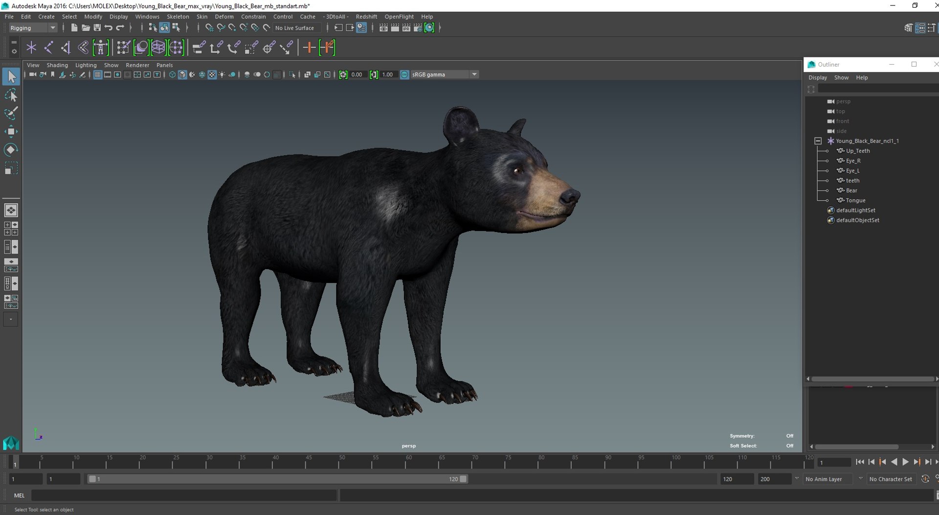 Young Black Bear model https://p.turbosquid.com/ts-thumb/yu/sbGEP9/q0/youngblackbearvray3dmodel032/jpg/1721007795/1920x1080/fit_q87/735dfb72f6102fdd6be92b5c8bd49a2f6c75708c/youngblackbearvray3dmodel032.jpg
