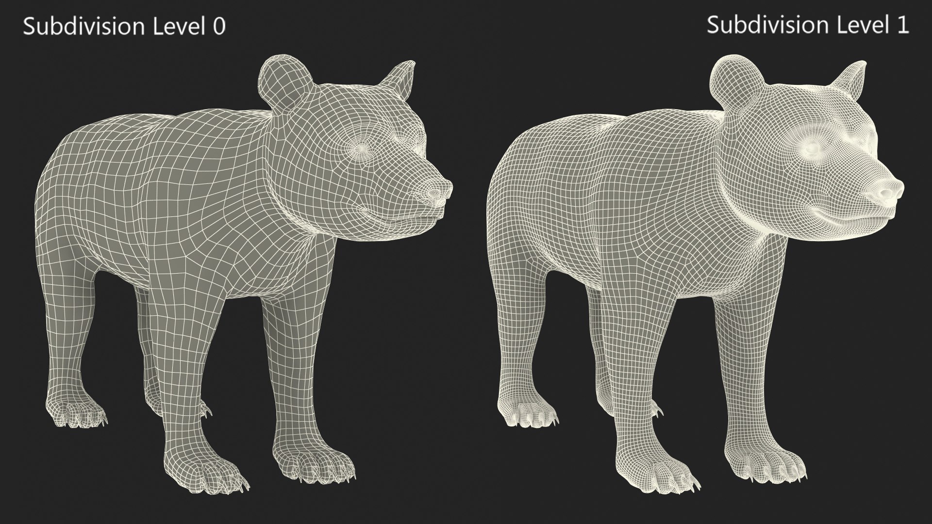 Young Black Bear model https://p.turbosquid.com/ts-thumb/yu/sbGEP9/s3/youngblackbearvray3dmodel019/jpg/1721007753/1920x1080/fit_q87/c529bcbda61ad6d2d28cc385c97a8d1aefe56bc1/youngblackbearvray3dmodel019.jpg