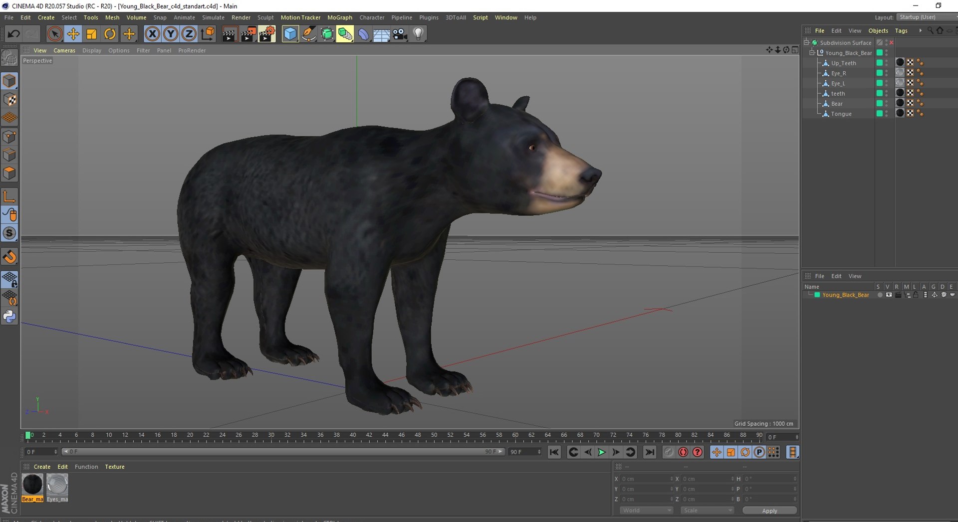 Young Black Bear model https://p.turbosquid.com/ts-thumb/yu/sbGEP9/sQ/youngblackbearvray3dmodel031/jpg/1721007792/1920x1080/fit_q87/d4712115e0c4c5672b83173d162e239216cb2aa2/youngblackbearvray3dmodel031.jpg